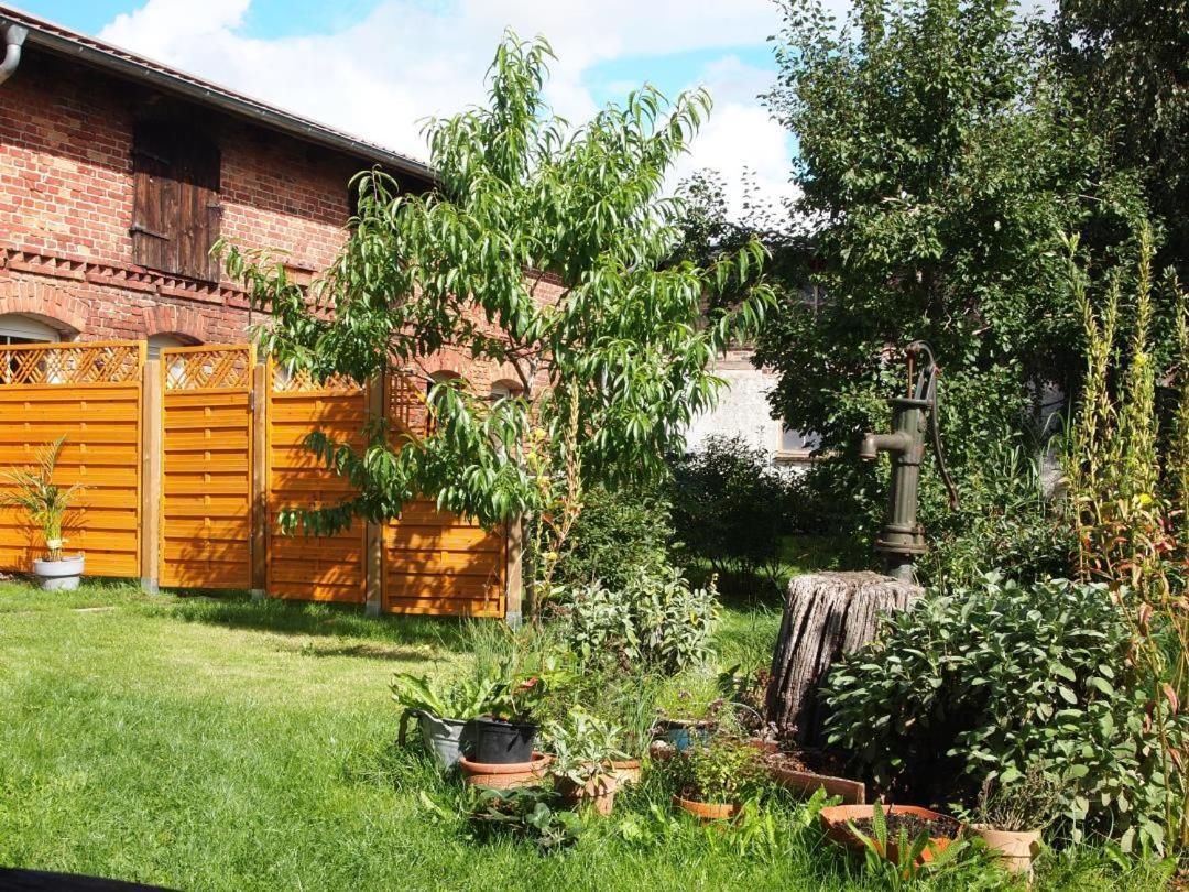 Neu Fewo Im Bauernhaus Mit Idyllischem Innenhof Und Naturgarten Mesekenhagen Luaran gambar