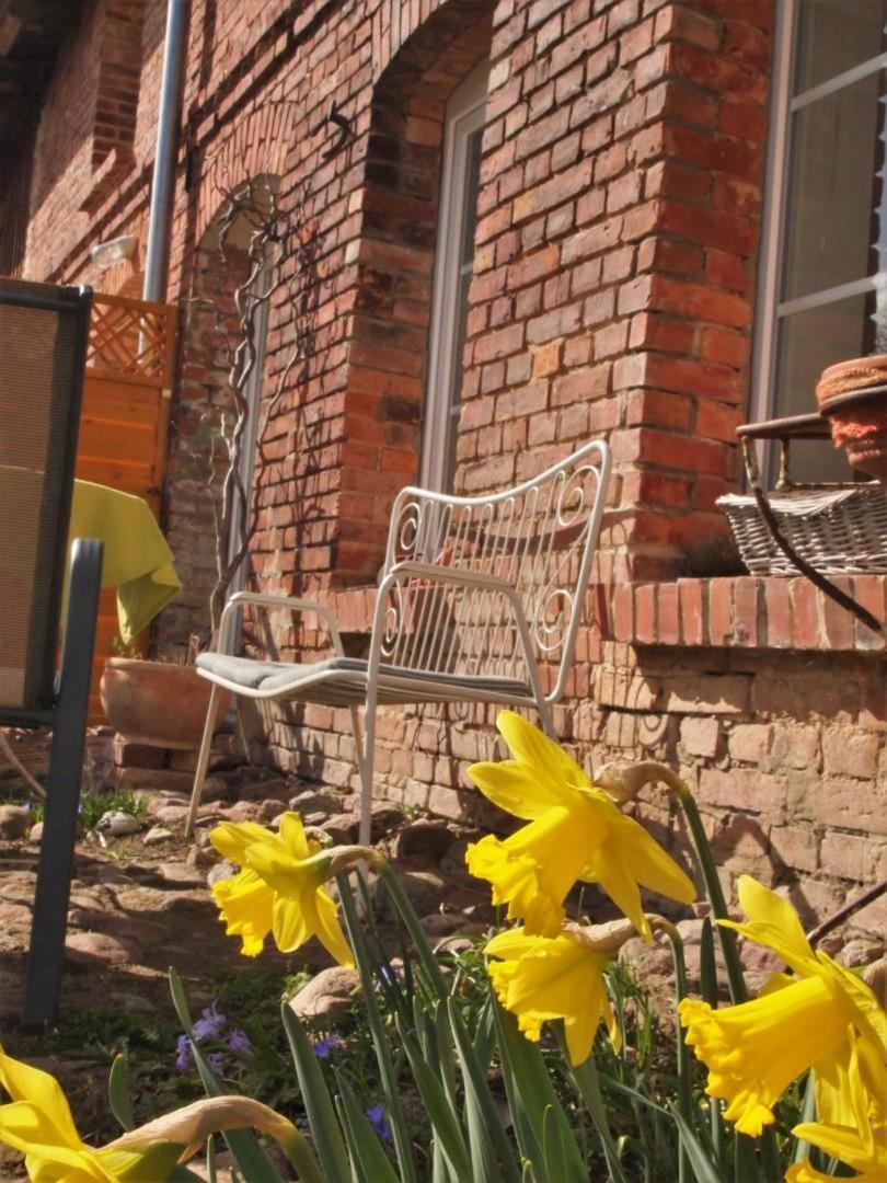 Neu Fewo Im Bauernhaus Mit Idyllischem Innenhof Und Naturgarten Mesekenhagen Luaran gambar